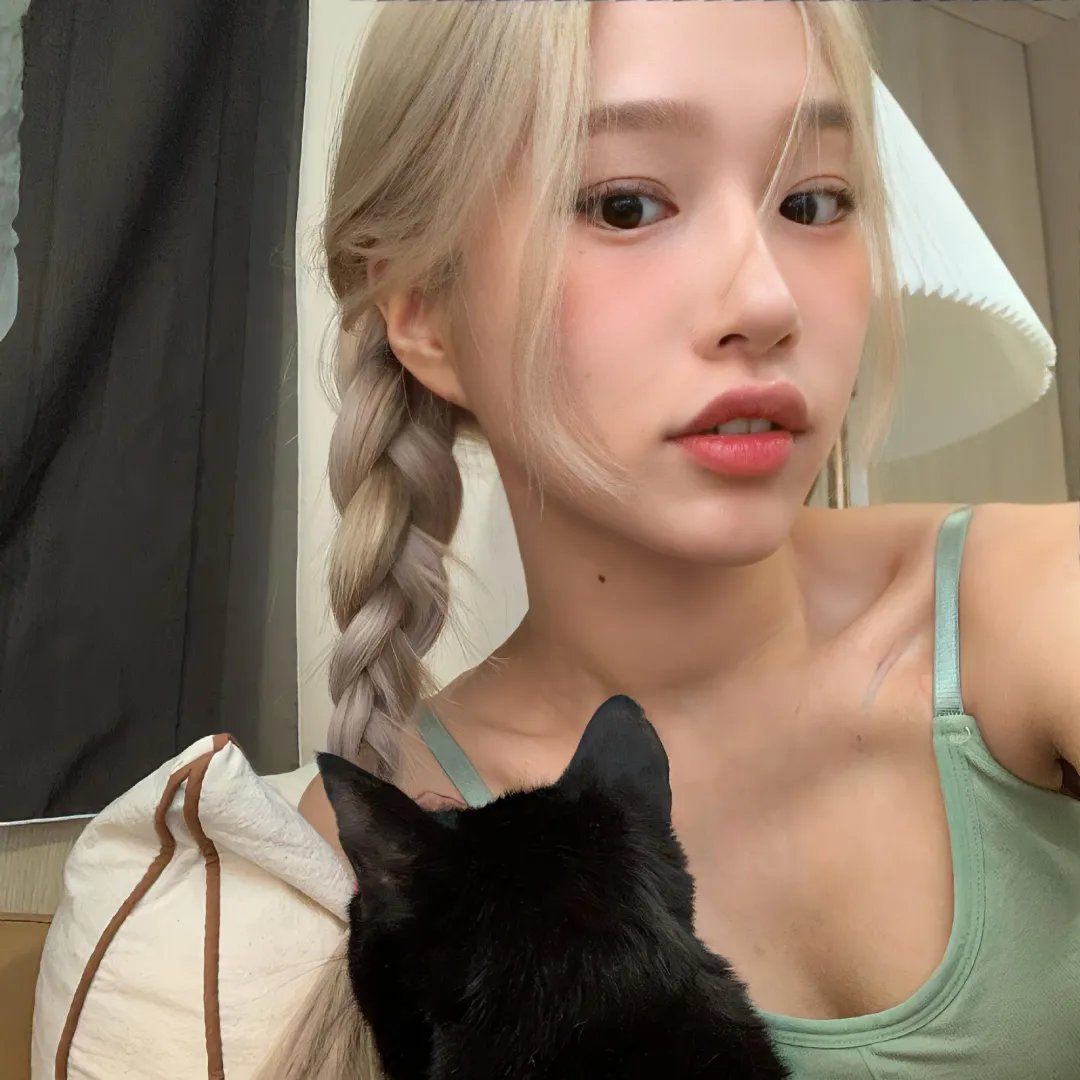 向上猴子